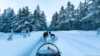 Husky snow tours, Dog sledding Norway with Riverland Husky